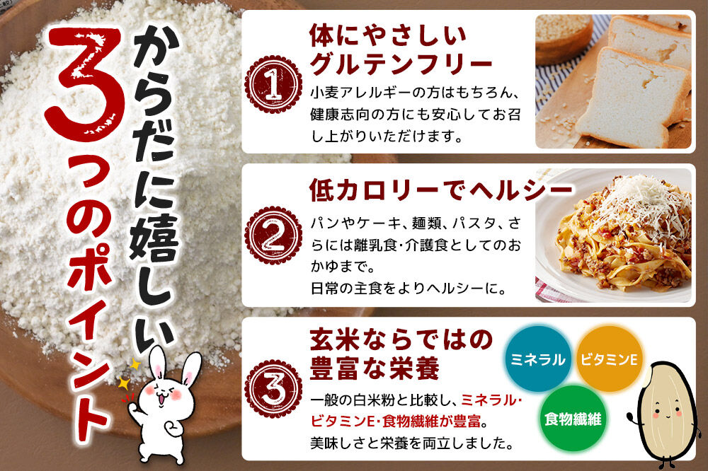 玄米からつくられた 米粉 秋田さらり玄米粉 500g レターパックライト [玄米粉 玄米 米粉 秋田さらり 国産 グルテンフリー アルファ化 パン 菓子 ケーキ 製菓 長期保存 備蓄]