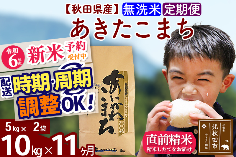 ※令和6年産 新米予約※《定期便11ヶ月》秋田県産 あきたこまち 10kg【無洗米】(5kg小分け袋) 2024年産 お届け時期選べる お届け周期調整可能 隔月に調整OK お米 藤岡農産