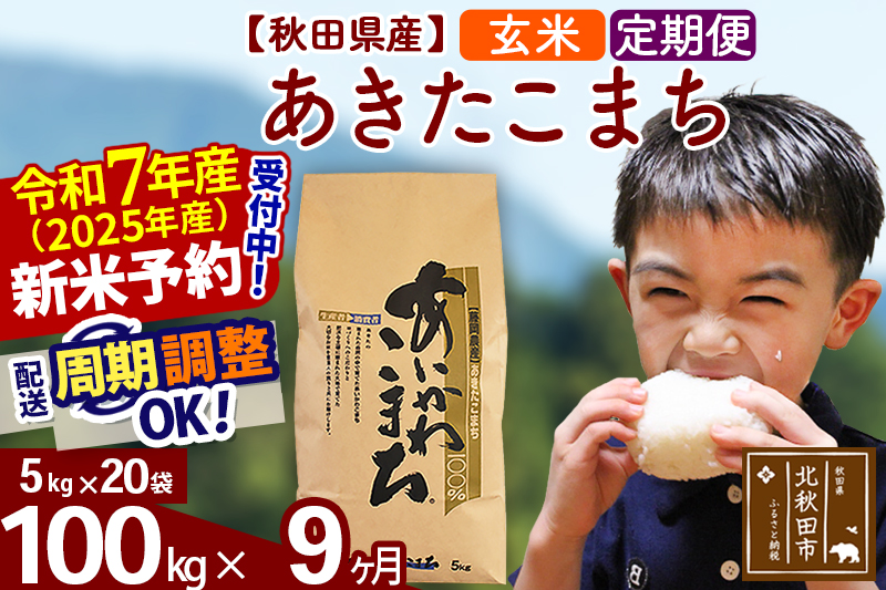 ※令和7年産 新米※《定期便9ヶ月》秋田県産 あきたこまち 100kg【玄米】(5kg小分け袋) 2025年産 お届け時期選べる お届け周期調整可能 隔月に調整OK お米 藤岡農産