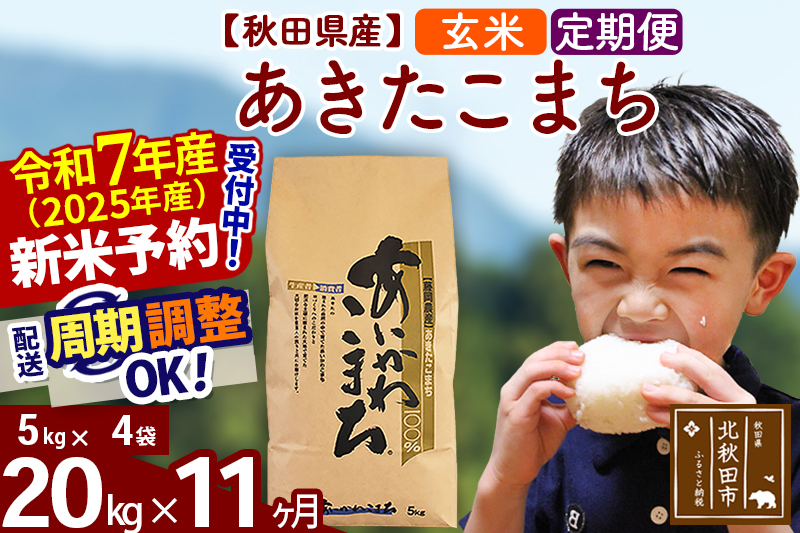 ※令和7年産 新米予約※《定期便11ヶ月》秋田県産 あきたこまち 20kg【玄米】(5kg小分け袋) 2025年産 お届け周期調整可能 隔月に調整OK お米 藤岡農産