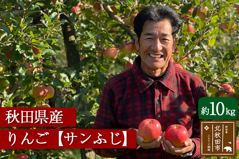 秋田県産 サンふじ りんご 約10kg （ご家庭用）リンゴ【12月中旬〜2月中旬に順次発送】