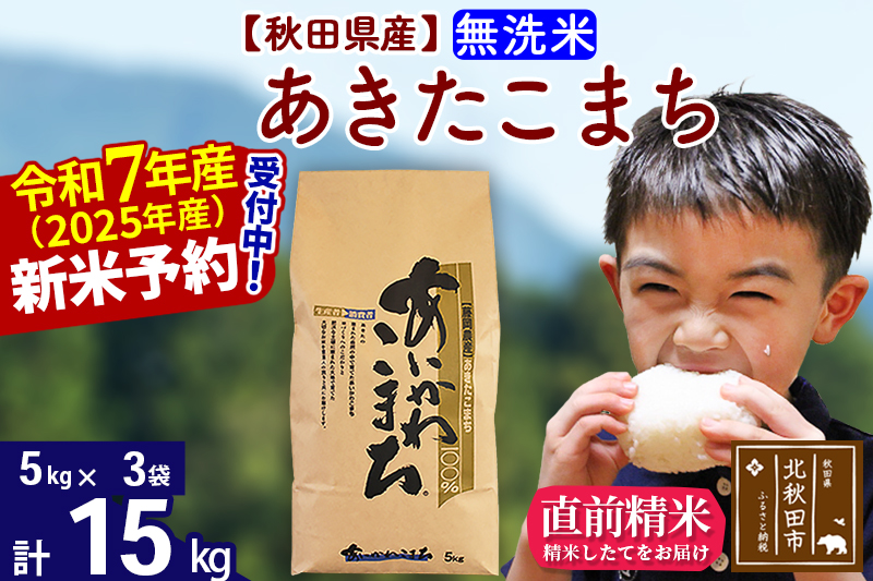 ※令和7年産 新米予約※秋田県産 あきたこまち 15kg【無洗米】(5kg小分け袋)【1回のみお届け】2025産 お米 藤岡農産