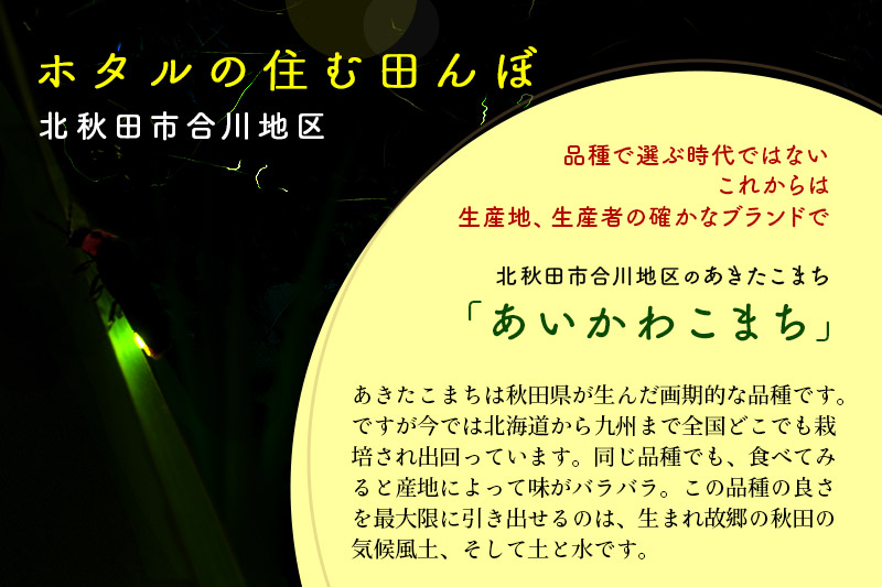 定期便2ヶ月》＜新米＞秋田県産 あきたこまち 100kg【無洗米】(5kg