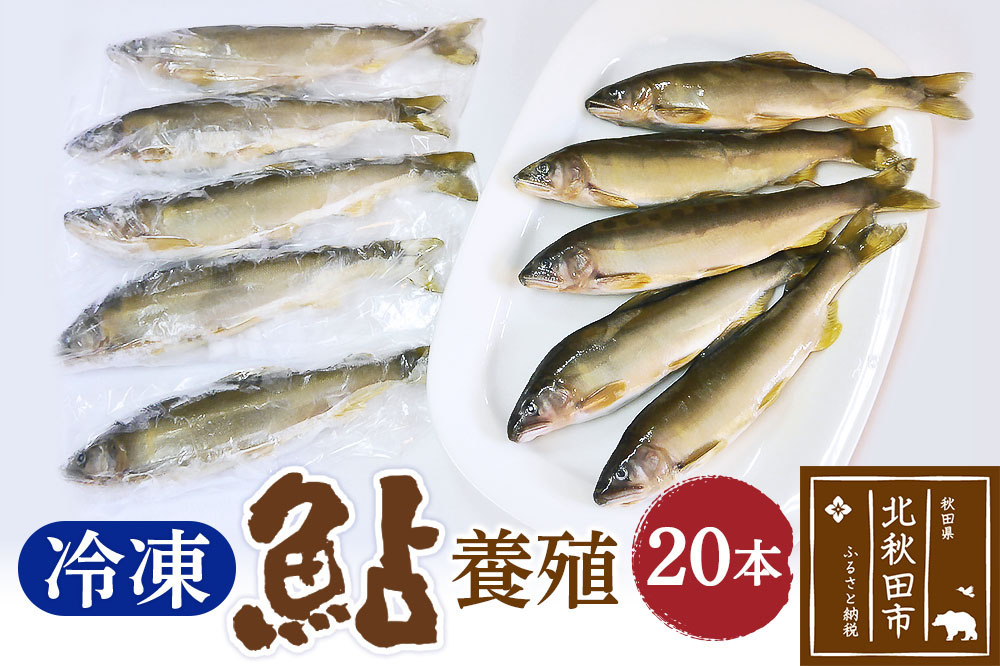 冷凍 鮎 20本 個包装【あゆ 小分け 魚 焼き魚 焼魚 川魚 バーベキューに】