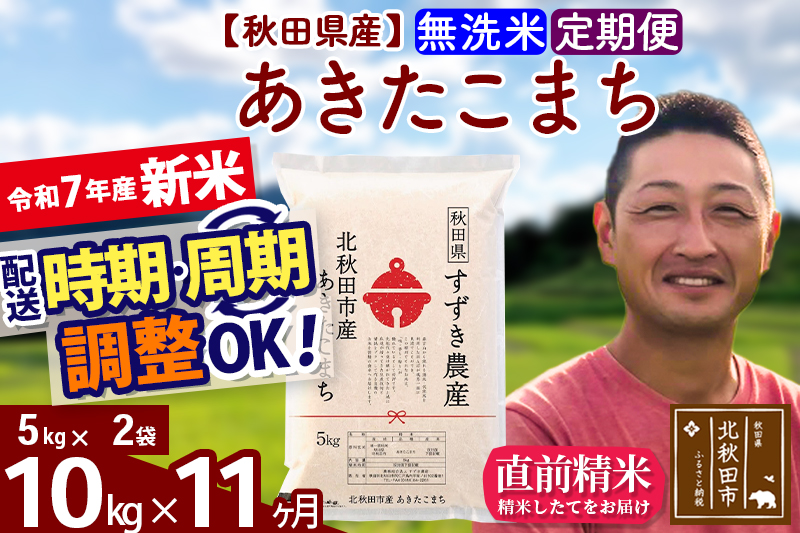 ※令和7年産 新米※《定期便11ヶ月》秋田県産 あきたこまち 10kg【無洗米】(5kg小分け袋) 2025年産 お届け時期選べる お届け周期調整可能 隔月に調整OK お米 すずき農産