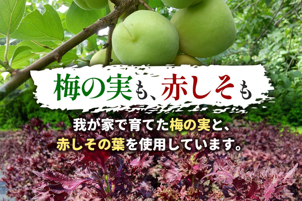  梅漬け（赤しそ入り） 200×4個 自家製 秋田県 北秋田阿仁産 [自家製 手作り 梅干し 梅漬け 漬け物]