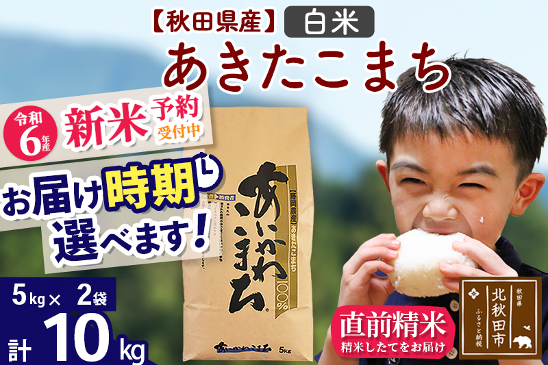 ※令和6年産 新米予約※秋田県産 あきたこまち 10kg【白米】(5kg小分け袋)【1回のみお届け】2024産 お届け時期選べる お米 藤岡農産