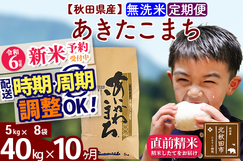 ※令和6年産 新米予約※《定期便10ヶ月》秋田県産 あきたこまち 40kg【無洗米】(5kg小分け袋) 2024年産 お届け時期選べる お届け周期調整可能 隔月に調整OK お米 藤岡農産