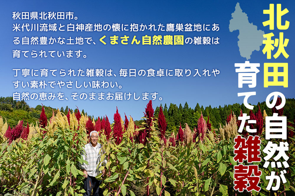 雑穀 あわ 計600g（200g×3袋） 農薬不使用 無農薬 ご飯に混ぜて炊くだけ 国産 国内産