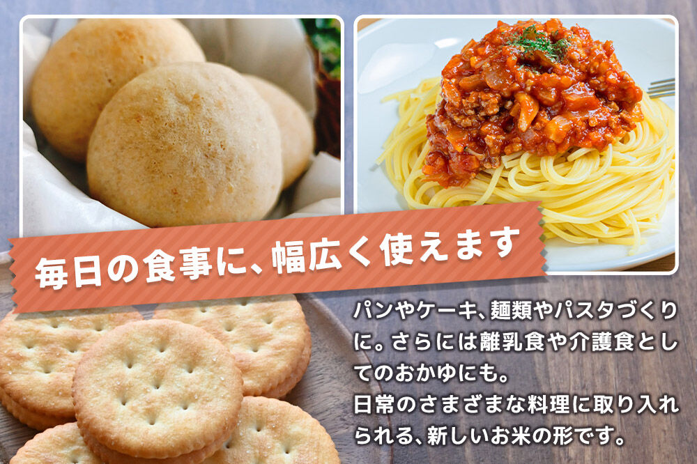 玄米からつくられた 米粉 秋田さらり玄米粉 500g レターパックライト [玄米粉 玄米 米粉 秋田さらり 国産 グルテンフリー アルファ化 パン 菓子 ケーキ 製菓 長期保存 備蓄]