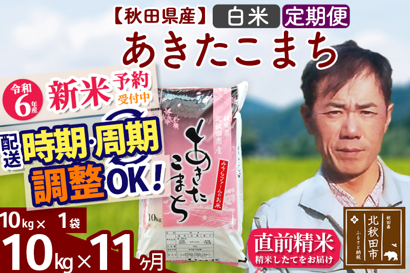 ※令和6年産 新米予約※《定期便11ヶ月》秋田県産 あきたこまち 10kg【白米】(10kg袋) 2024年産 お届け時期選べる お届け周期調整可能 隔月に調整OK お米 みそらファーム