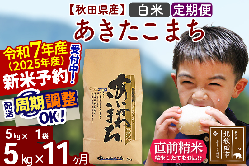 ※令和7年産 新米予約※《定期便11ヶ月》秋田県産 あきたこまち 5kg【白米】(5kg小分け袋) 2025年産 お届け周期調整可能 隔月に調整OK お米 藤岡農産