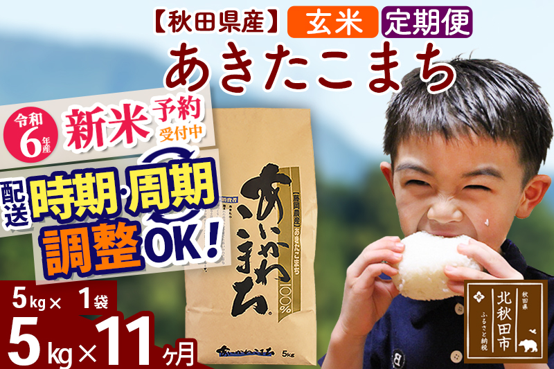 ※令和6年産 新米予約※《定期便11ヶ月》秋田県産 あきたこまち 5kg【玄米】(5kg小分け袋) 2024年産 お届け時期選べる お届け周期調整可能 隔月に調整OK お米 藤岡農産