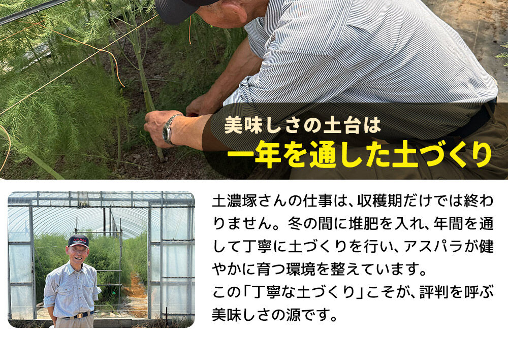 野菜 アスパラガス 北秋田市産 アスパラ 約1kg M〜Lのサイズミックス [新鮮 冷蔵 産直 北秋田市産 M L サイズミックス グリーンアスパラ サラダ]