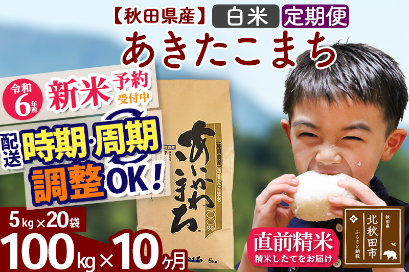 ※令和6年産 新米予約※《定期便10ヶ月》秋田県産 あきたこまち 100kg【白米】(5kg小分け袋) 2024年産 お届け時期選べる お届け周期調整可能 隔月に調整OK お米 藤岡農産