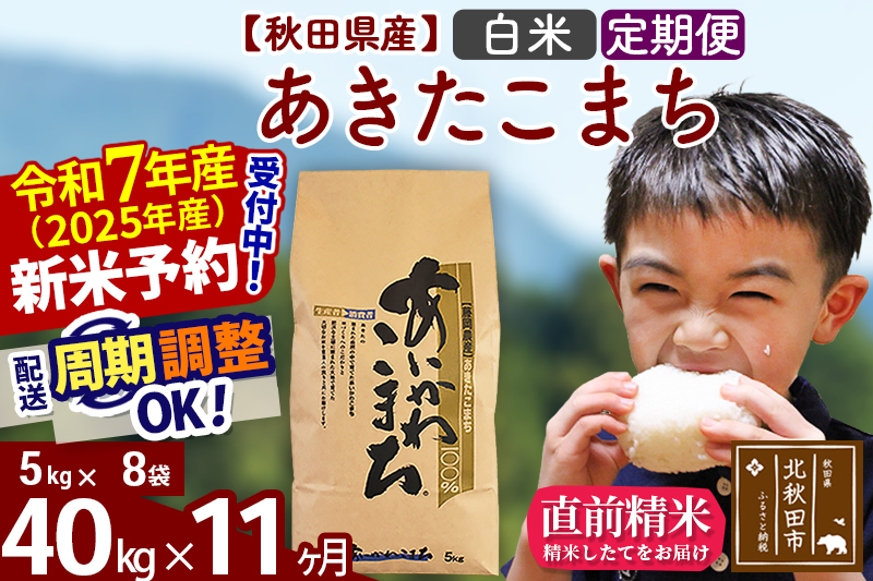 ※令和7年産 新米予約※《定期便11ヶ月》秋田県産 あきたこまち 40kg【白米】(5kg小分け袋) 2025年産 お届け周期調整可能 隔月に調整OK お米 藤岡農産