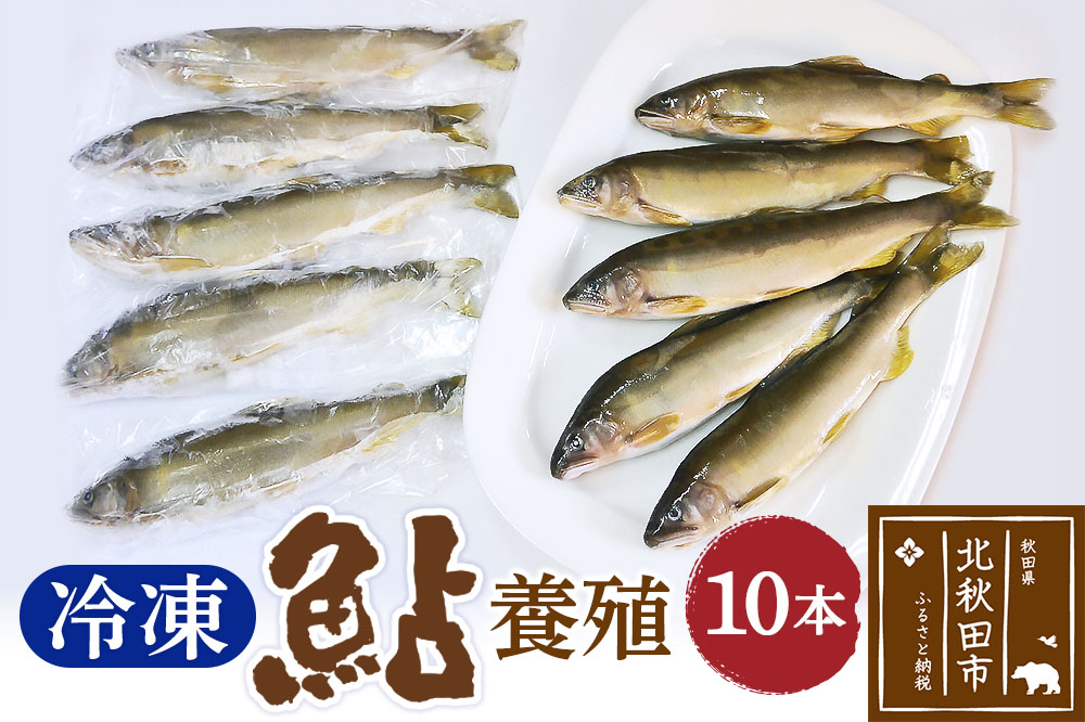 冷凍 鮎 10本 個包装【あゆ 小分け 魚 焼き魚 焼魚 川魚 バーベキューに】