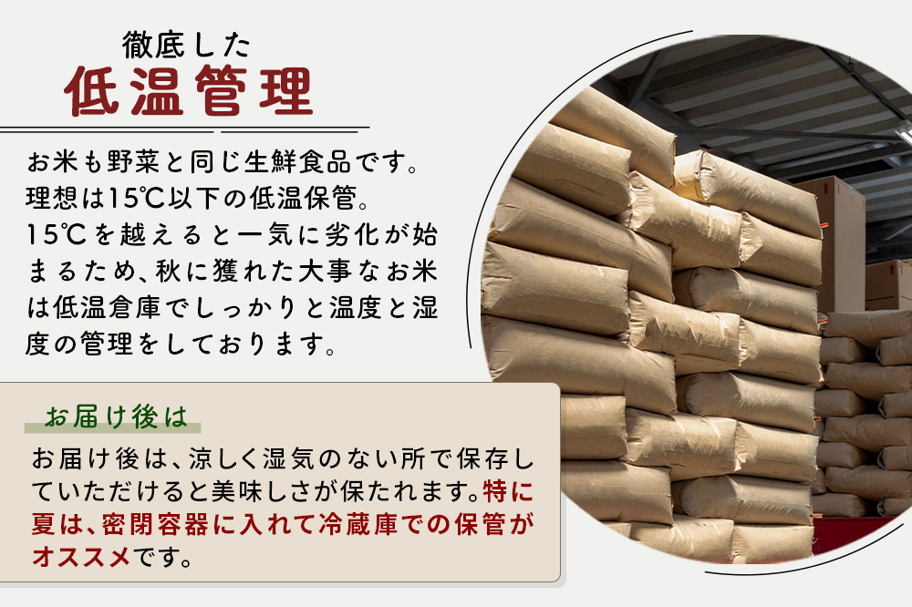 ※令和7年産※《定期便7ヶ月》秋田県産 あきたこまち 100kg【無洗米】(5kg小分け袋) 2025年産 お届け時期選べる お届け周期調整可能 隔月に調整OK お米 藤岡農産