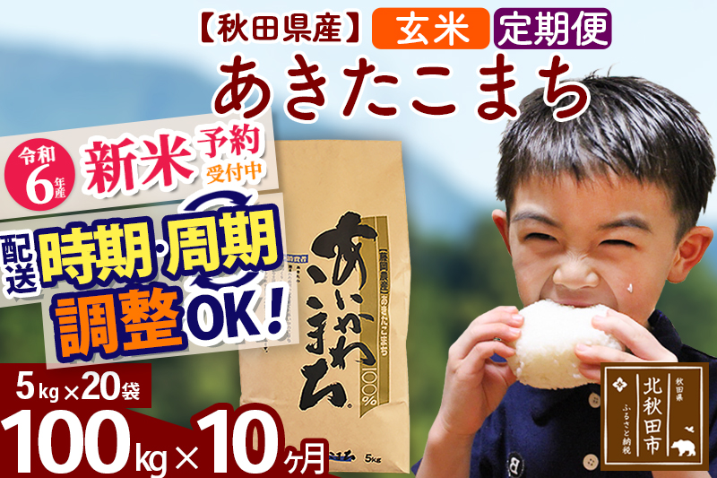 ※令和6年産 新米予約※《定期便10ヶ月》秋田県産 あきたこまち 100kg【玄米】(5kg小分け袋) 2024年産 お届け時期選べる お届け周期調整可能 隔月に調整OK お米 藤岡農産