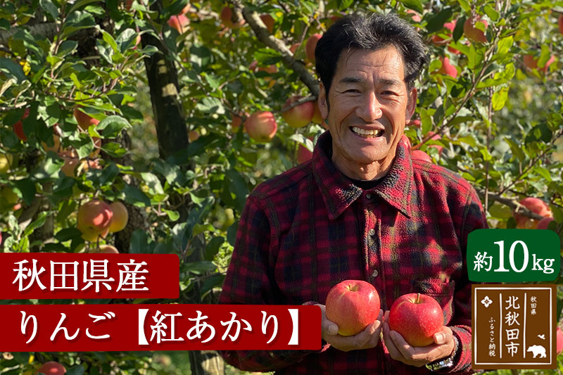 秋田県産 紅あかり りんご 約10kg （ご家庭用）リンゴ【12月上旬〜12月末まで順次発送】