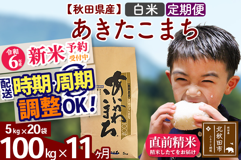 ※令和6年産 新米予約※《定期便11ヶ月》秋田県産 あきたこまち 100kg【白米】(5kg小分け袋) 2024年産 お届け時期選べる お届け周期調整可能 隔月に調整OK お米 藤岡農産