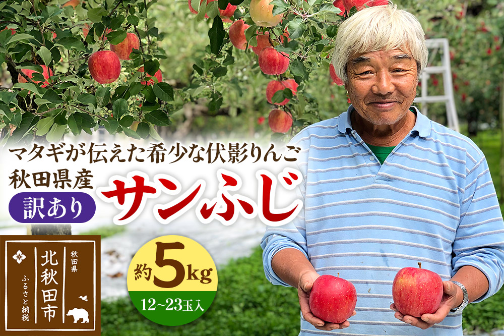 りんご 秋田県産 サンふじ（訳あり） 「伏影りんご」 約5kg (12〜23玉入)