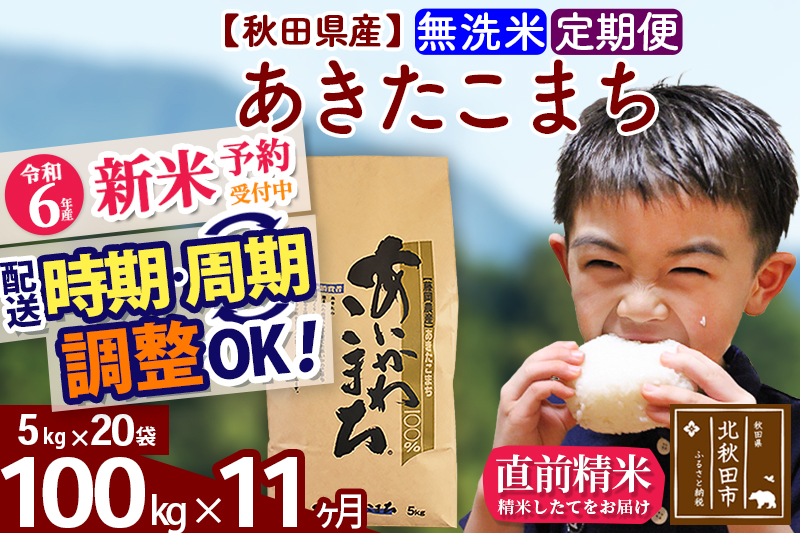 ※令和6年産 新米予約※《定期便11ヶ月》秋田県産 あきたこまち 100kg【無洗米】(5kg小分け袋) 2024年産 お届け時期選べる お届け周期調整可能 隔月に調整OK お米 藤岡農産