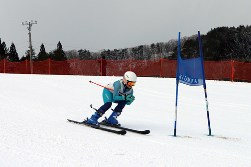 教育・文化・スポーツに関する事業