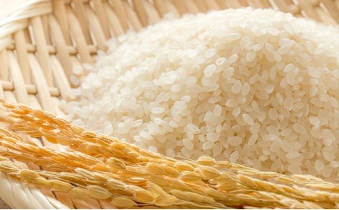 《謝恩企画》《数量限定》令和3年産  特別栽培米 ひとめぼれ10kg(5kg×2袋・精米)
