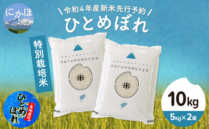 《令和4年産新米先行予約》特別栽培米　ひとめぼれ 白米 10kg（5kg×2袋）