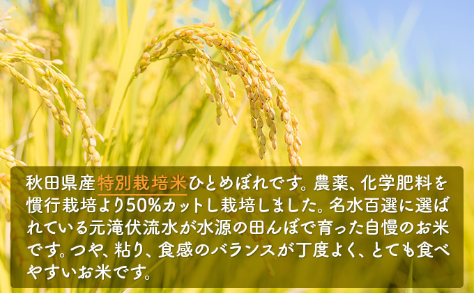 《令和4年産新米先行予約》特別栽培米　ひとめぼれ 白米 10kg（5kg×2袋）