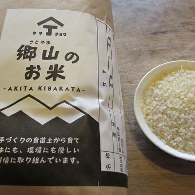 【新米予約】農薬不使用のあきたこまち（玄米）「郷山のお米」2kg