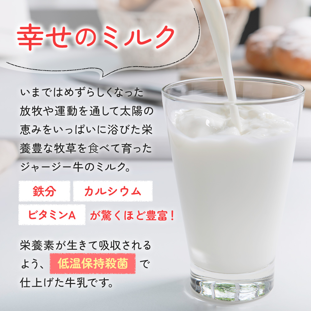 土田牧場 幸せのミルク（ジャージー 牛乳）8ヶ月 定期便 900ml×3本