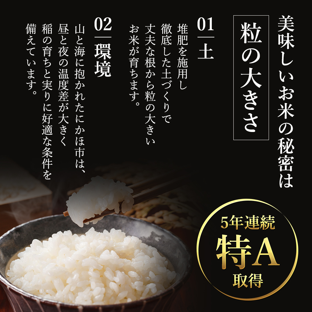 令和5年産 ひとめぼれ 白米 10kg（5kg×2袋） 精米 土づくり実証米