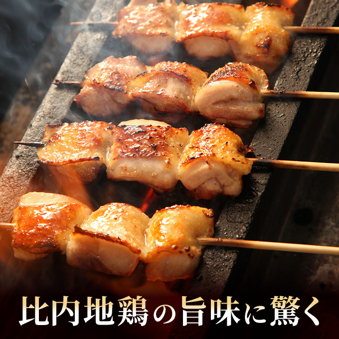 秋田県産比内地鶏肉 焼き鳥の定期便（30本×8ヵ月）（焼鳥 8ヶ月 もも肉 むね肉）