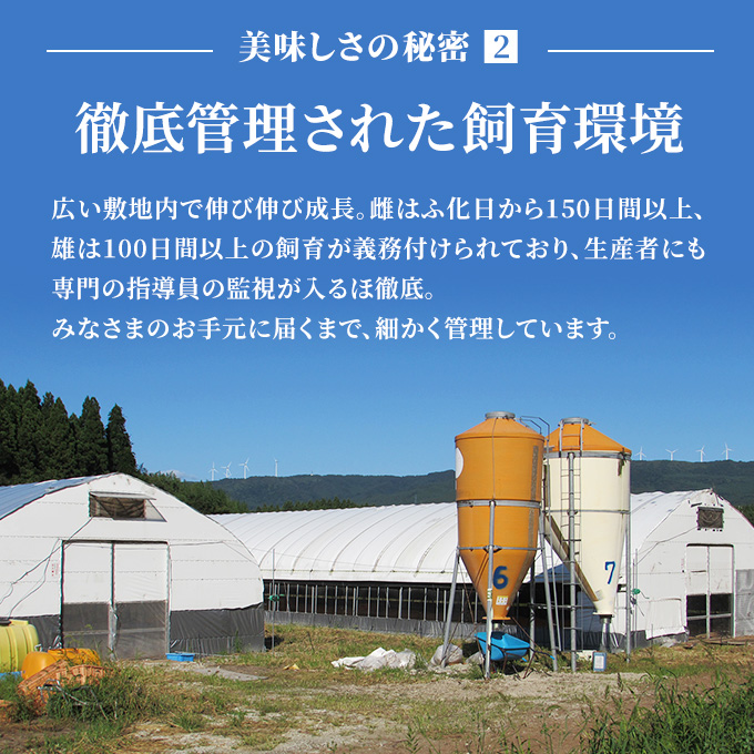 秋田県産比内地鶏肉 焼き鳥の定期便（30本×8ヵ月）（焼鳥 8ヶ月 もも肉 むね肉）