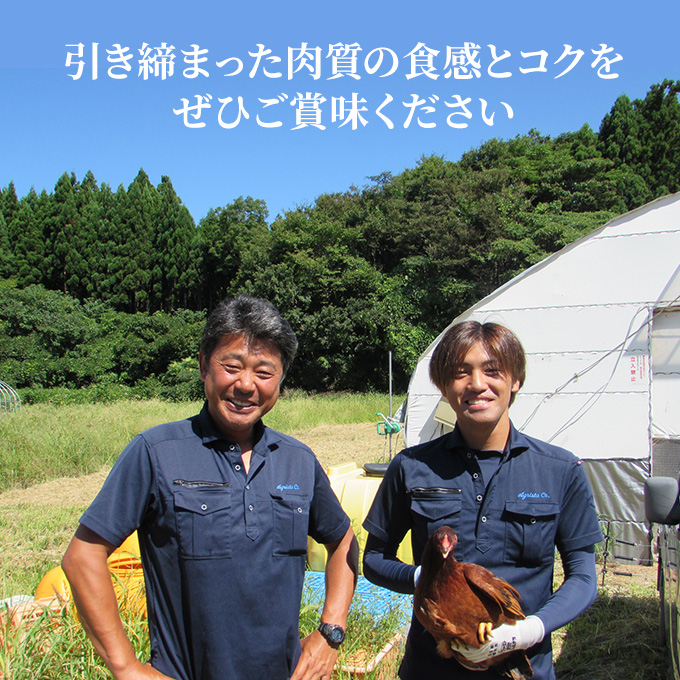 秋田県産比内地鶏肉 焼き鳥の定期便（30本×8ヵ月）（焼鳥 8ヶ月 もも肉 むね肉）