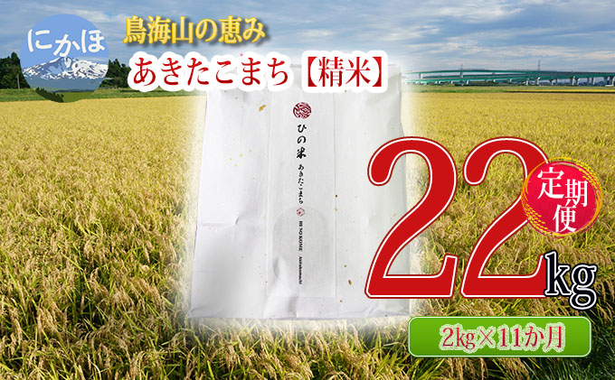 《定期便》2kg×11ヶ月 鳥海山の恵み！秋田県産 あきたこまち ひの米（精米）計22kg（2kg×11回連続）