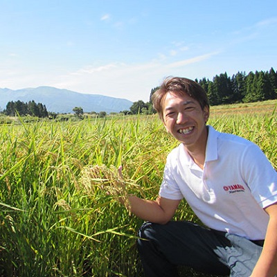 新米 米 お米 《定期便》18kg×12ヶ月 秋田県産 あきたこまち 玄米 2kg×9袋 神宿る里の米「ひの米」（お米 小分け）