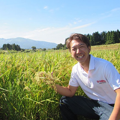 秋田県産 あきたこまち 精米 8kg（2kg×4袋）神宿る里の米「ひの米」（お米 小分け）