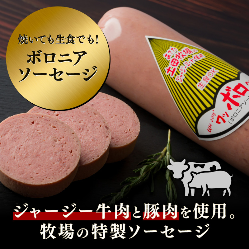 ボロニアソーセージ 500g 1本 生食OK ジャージーミート使用 土田牧場 ソーセージ 生食 惣菜 朝食 おつまみ つまみ 加工肉 冷蔵 秋田 秋田県 にかほ市