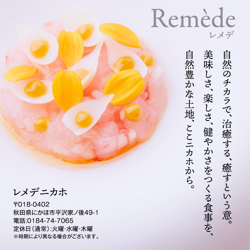 レメデニカホ  ディナーお食事券（1名様分）にかほガストロノミー  チケット 