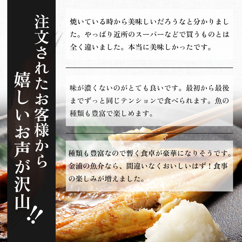 《定期便》2ヶ月ごとに5回 干物セット 10品程度(5～8種)「秋田のうまいものセットA」(隔月)