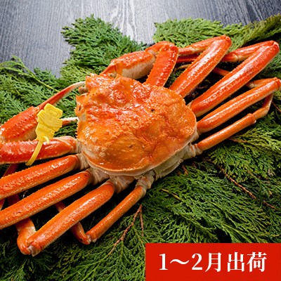 日本海で獲れた天然ズワイガニ（1kg以上）