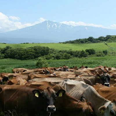 ジャージー乳仕込み！手軽にベーコンリゾット 土田牧場さんのお土産 250g×3袋