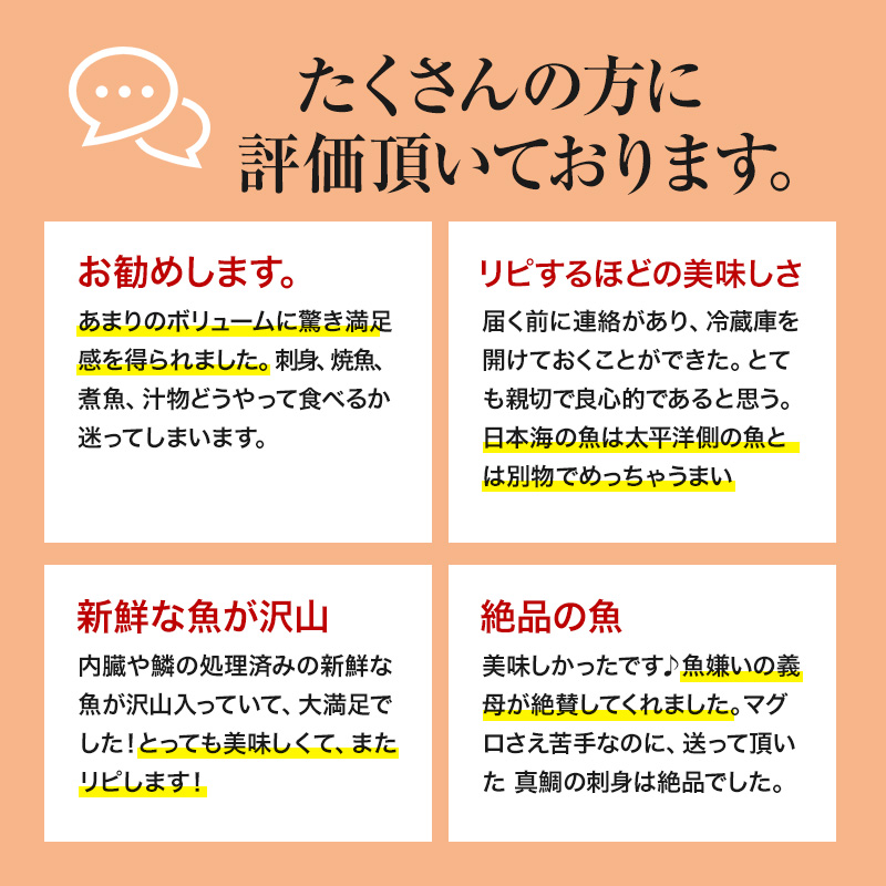 発送メールのみ 日本海の鮮魚詰め合わせ（4～5人前 下処理済み 切り身 魚介 セット）