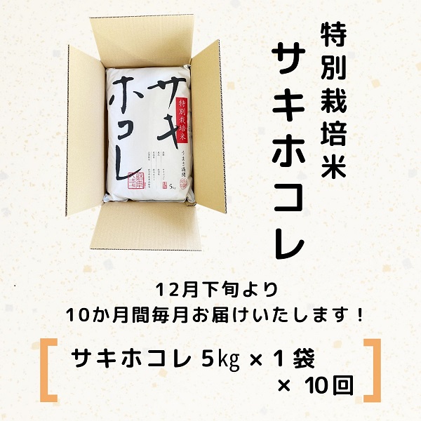 【令和5年産新米予約】【無洗米】<10ヵ月定期便>特別栽培米サキホコレ5kg×10回 計50kg