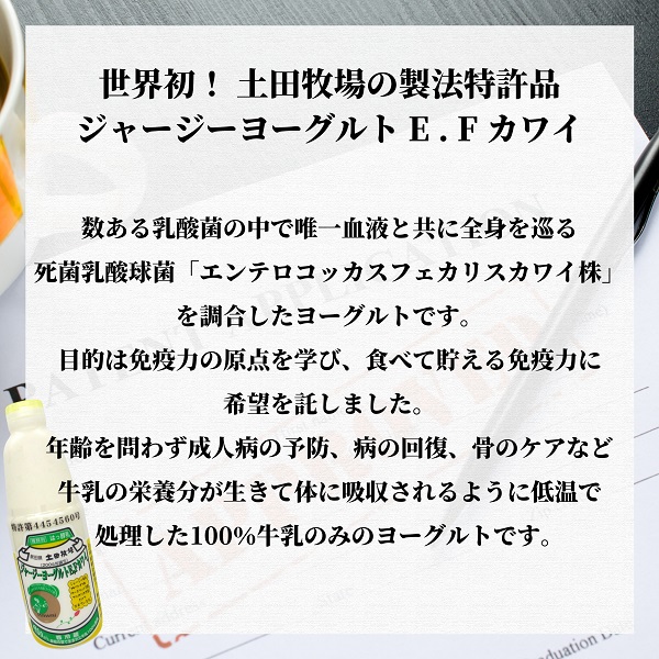 毎月お届け！ジャージー ヨーグルト(E・Fカワイ)900ml×2本 12ヶ月定期便(飲む ヨーグルト)