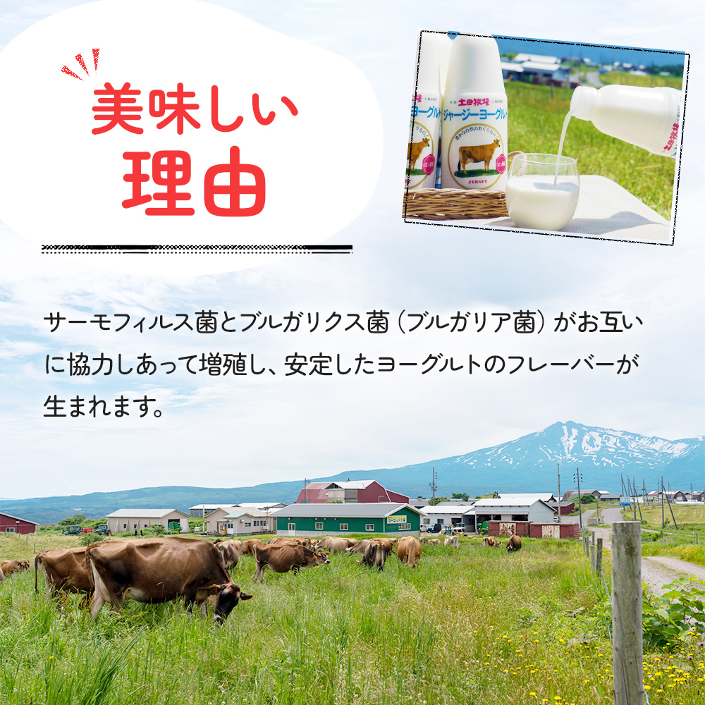飲むヨーグルト 900ml 5本 土田牧場 飲むジャージーヨーグルト ジャージーヨーグルト ヨーグルト飲料 乳製品 健康 栄養豊富 冷蔵 秋田 秋田県 にかほ市