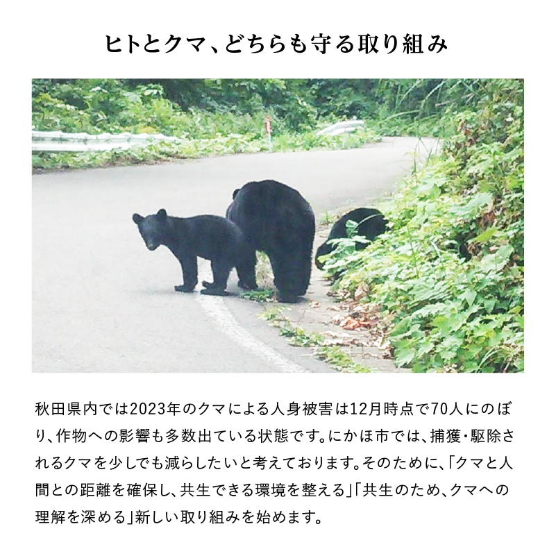 《クマといい距離プロジェクト》寄附のみ2,000円